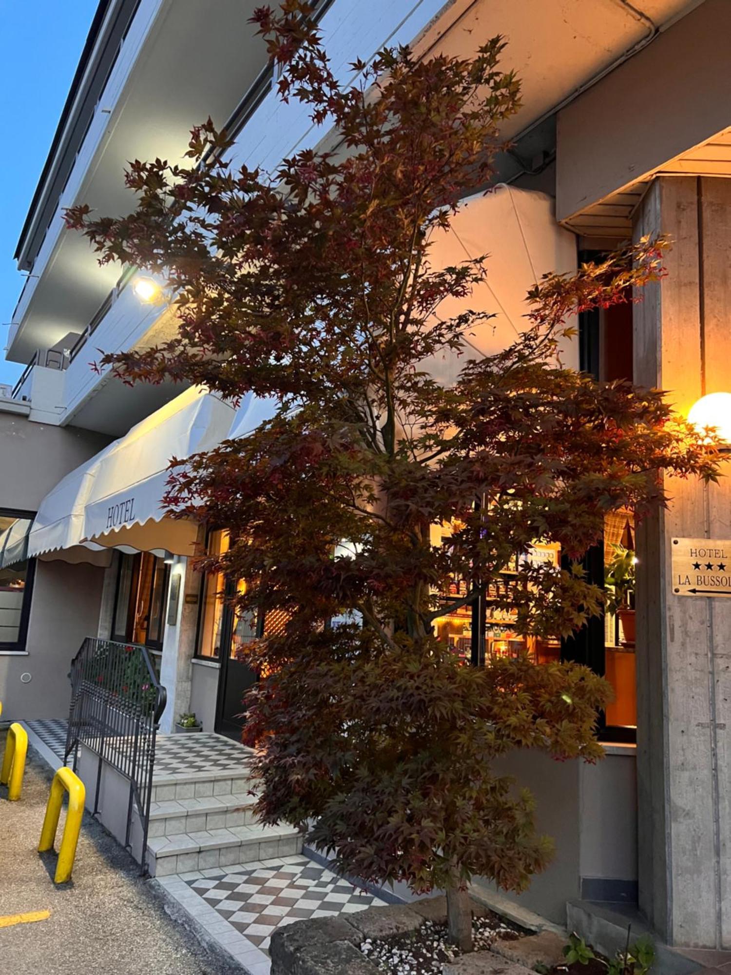 Hotel La Bussola Паденге-суль-Гарда Екстер'єр фото